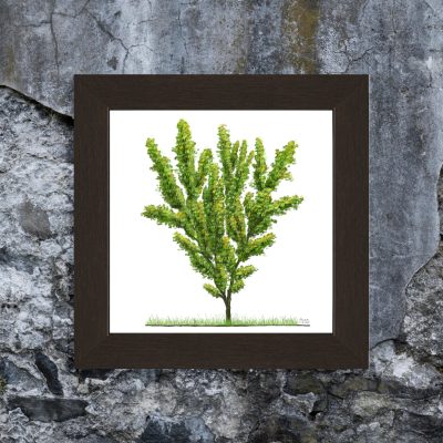 Hazelnut tree painting with walnut frame on concrete background